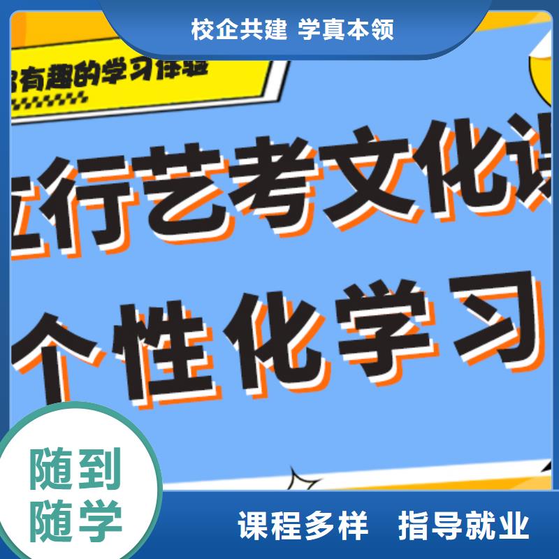 艺术生文化课集训冲刺收费定制专属课程