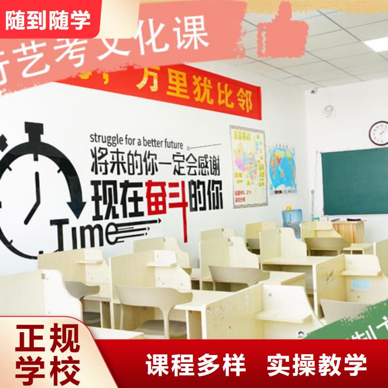 艺术生文化课集训冲刺收费定制专属课程