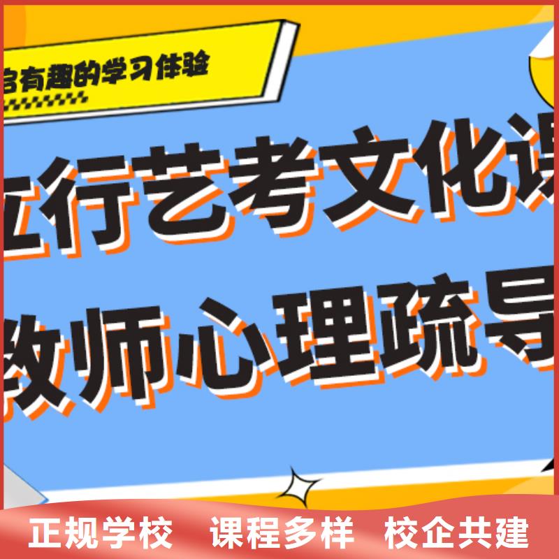 艺术生文化课培训补习排行精准的复习计划