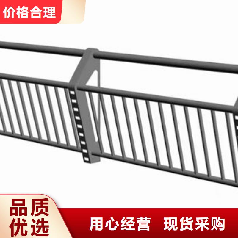 10年经验不锈钢防撞护栏护栏