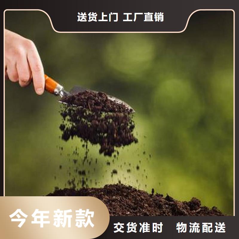 夯土墙专用固化剂专业厂家直销
