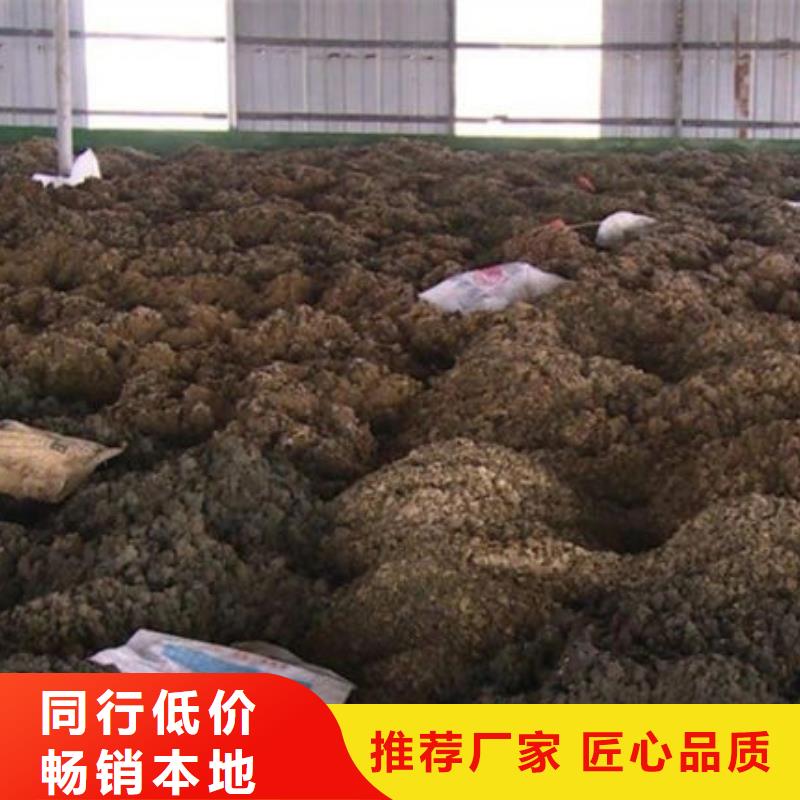 含铜泥太阳能发电板回收厂家渠道正规