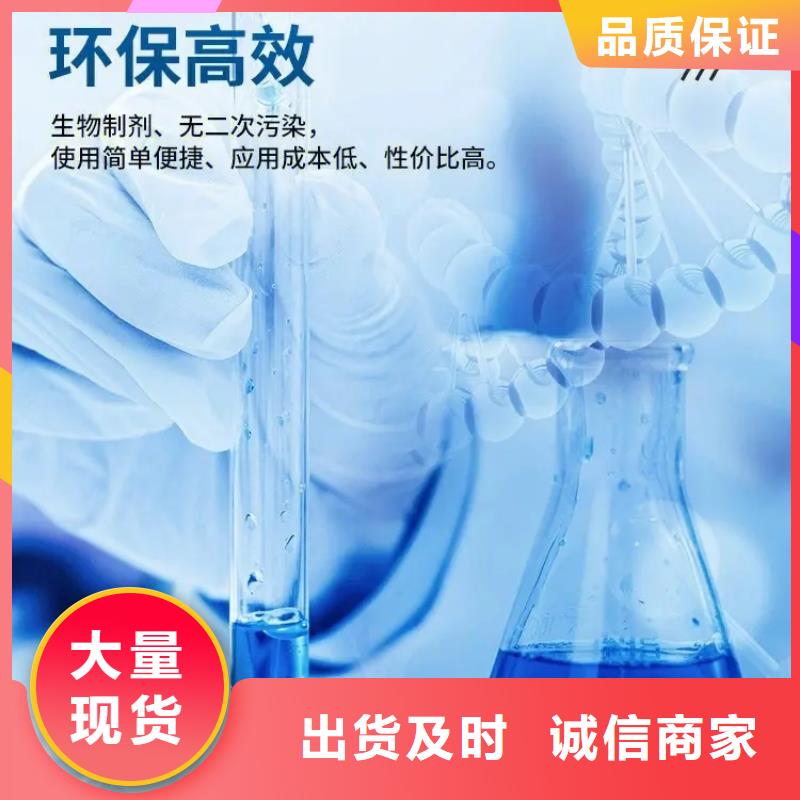 除臭剂白色聚合氯化铝讲信誉保质量