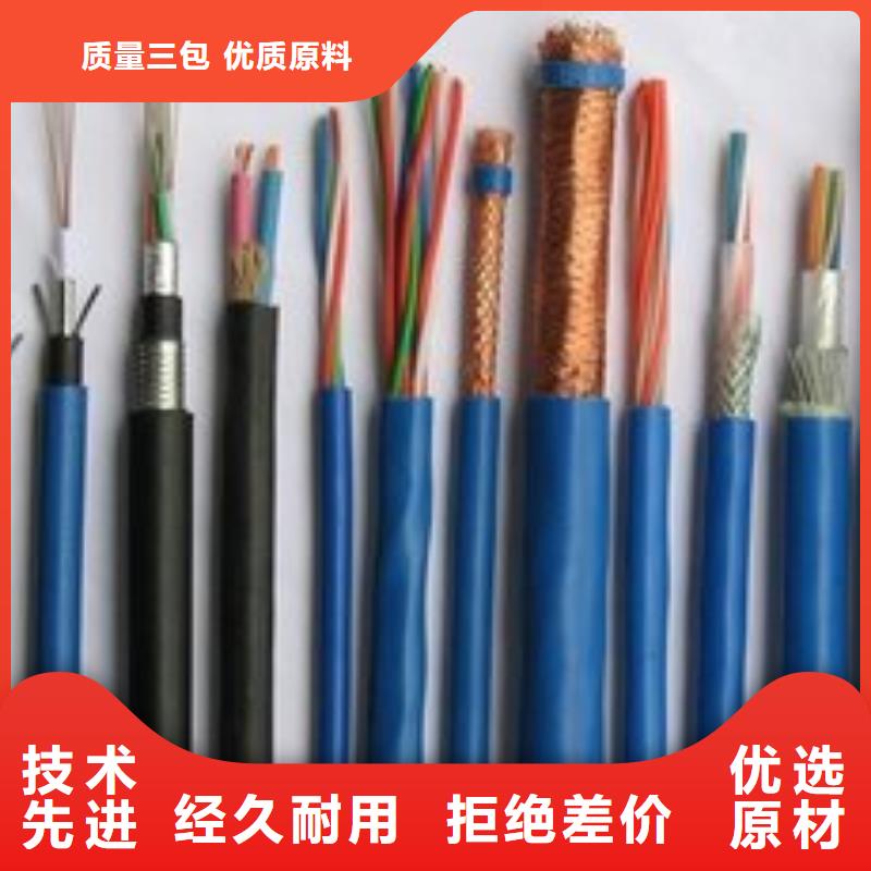 电线电缆PTYA23电缆从源头保证品质