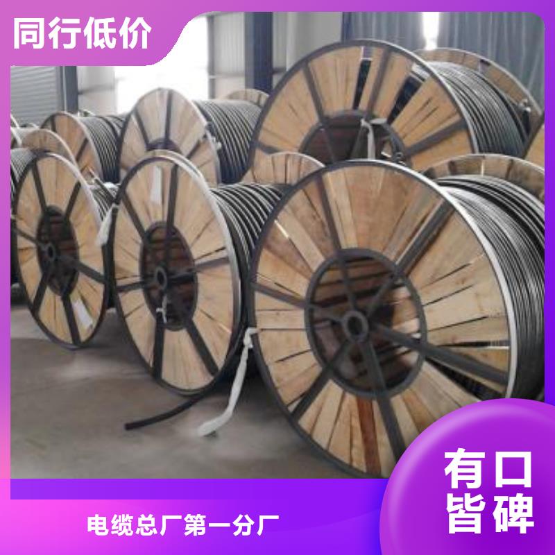 电线电缆MKVVP电缆卓越品质保障