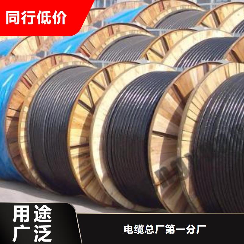 电线电缆PTYA23电缆满足客户需求