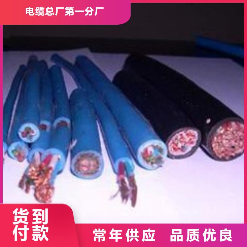 电线电缆PTYA23电缆物美价优
