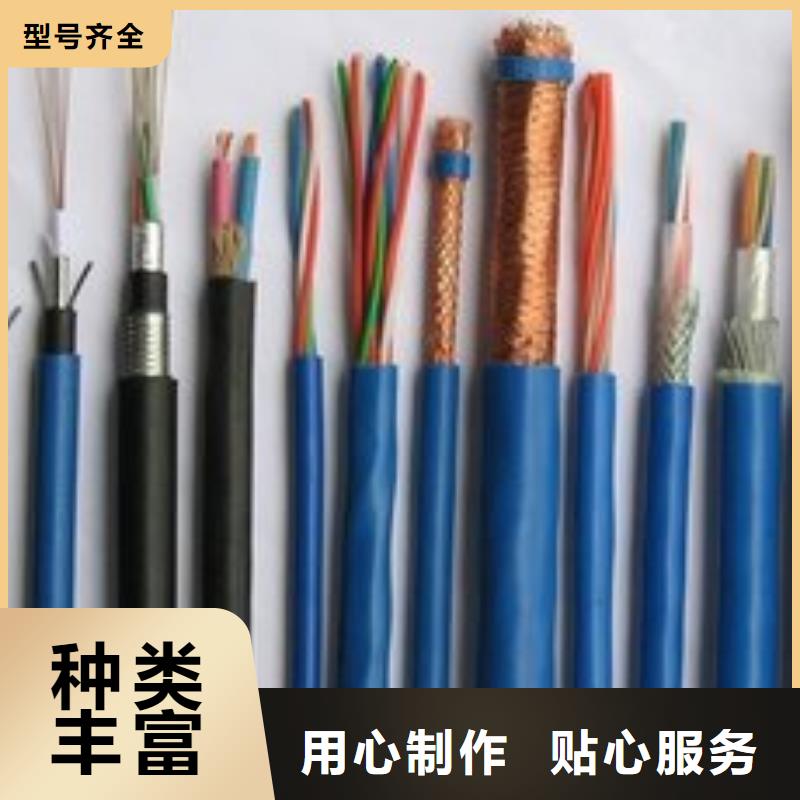 电线电缆【PTYA23电缆】多年厂家可靠