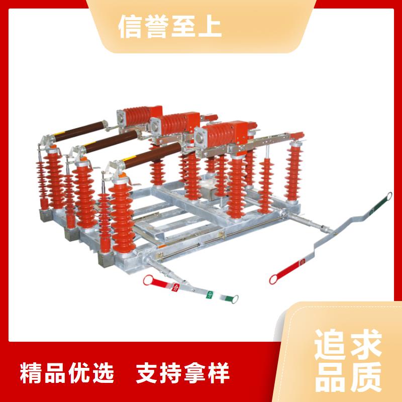 FLN36-24/T630-20型SF6负荷开关