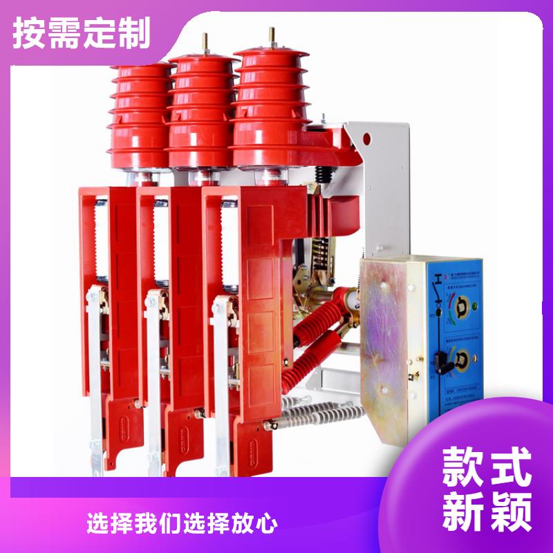 FZN12-12/630-20负荷开关樊高