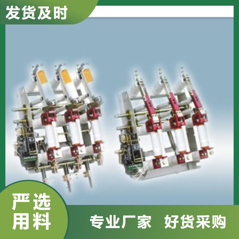 SF6-12D/T125-50熔断器-组合式六氟化硫负荷开关