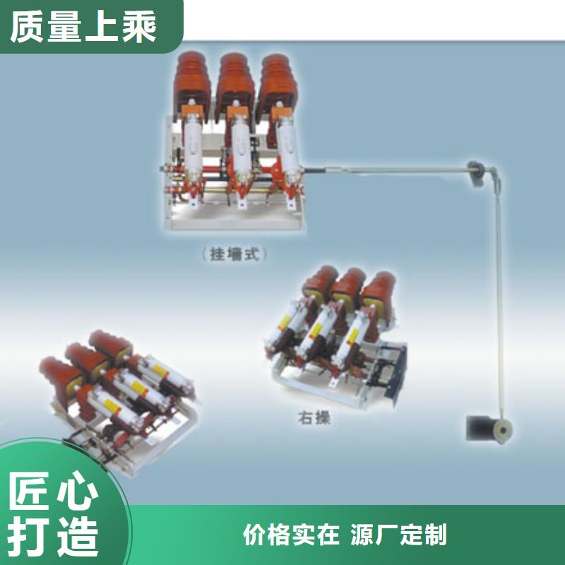 SF6-12D/T125-50熔断器-组合式六氟化硫负荷开关