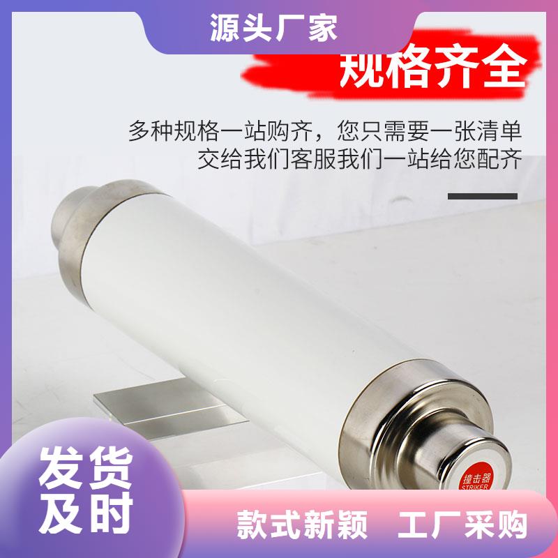 XRNT-24/125A熔断器