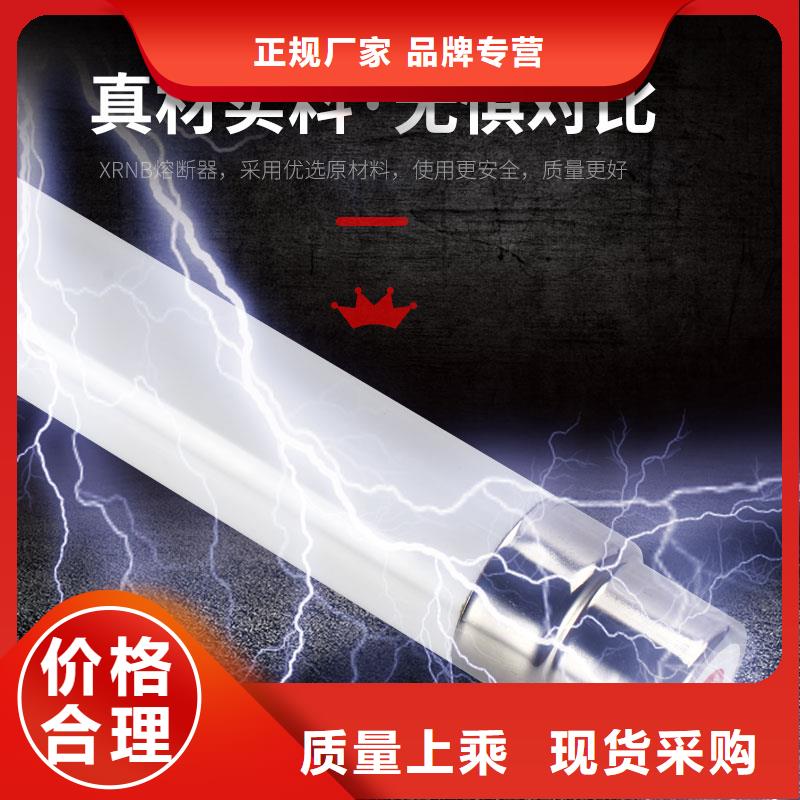 XRNT-35/25A限流熔断器