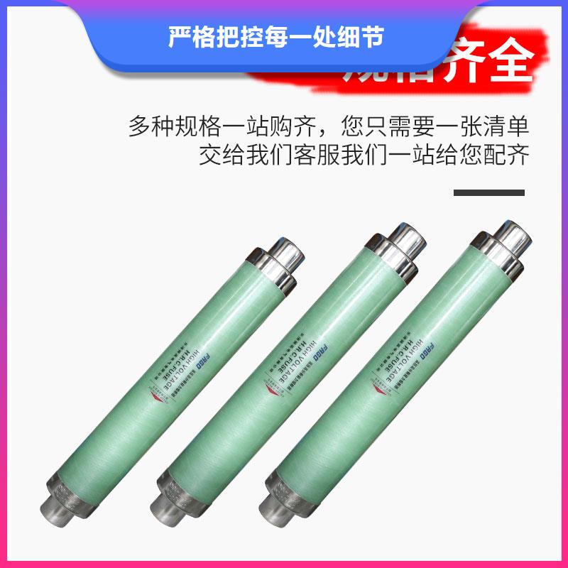 BR1-10/80A双管限流熔断器