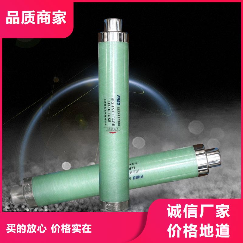 XRNP-10KV/3.15A熔断器