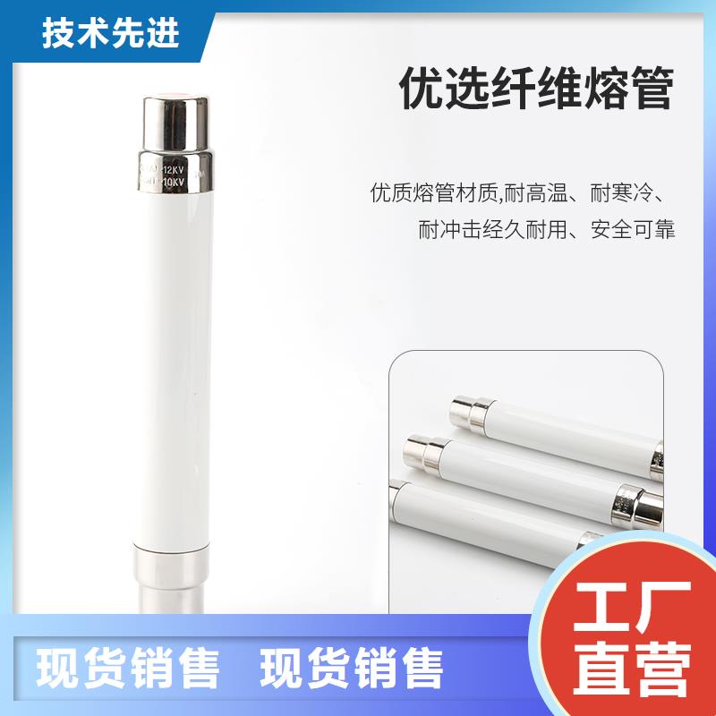 XRNP1-10/0.5A高压熔管