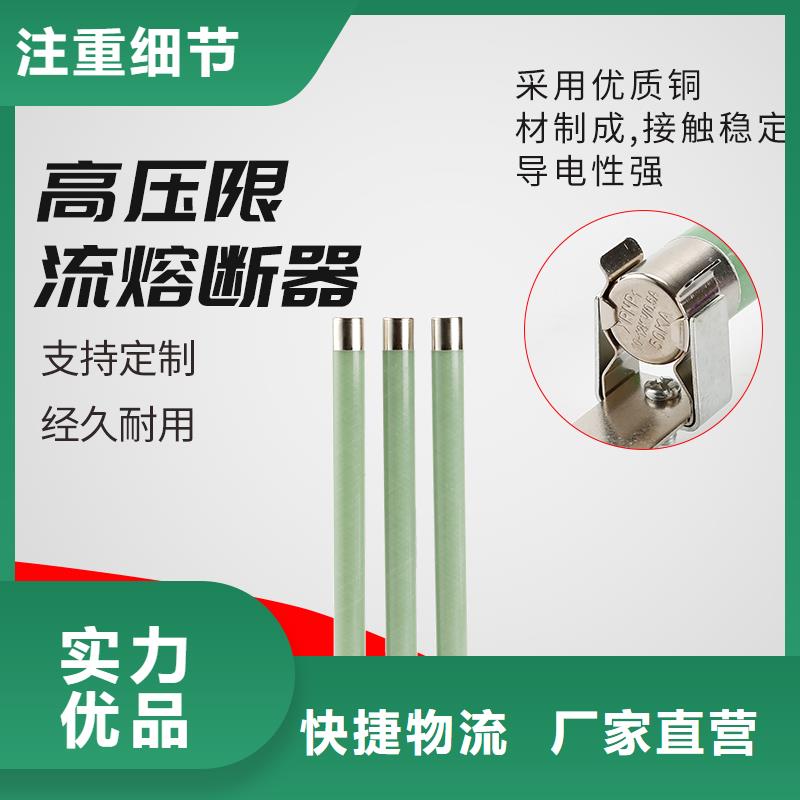 RXWO-35/0.5A高压限流熔断器