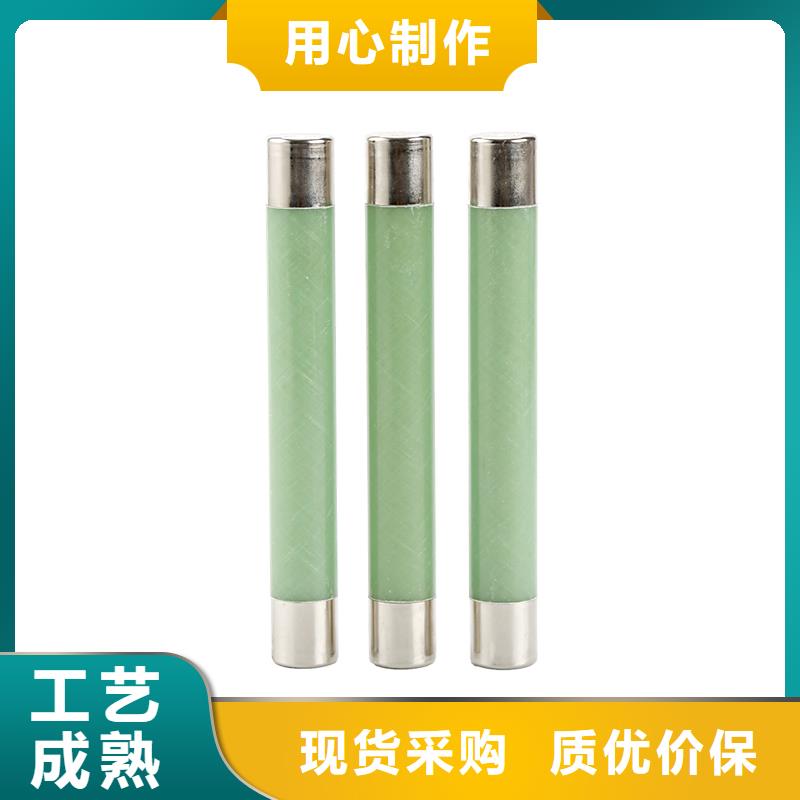 XRNP1-10/0.5A高压熔管