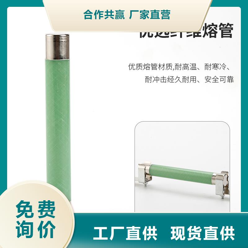 XRNP1-40.5/0.5A高压限流熔断器