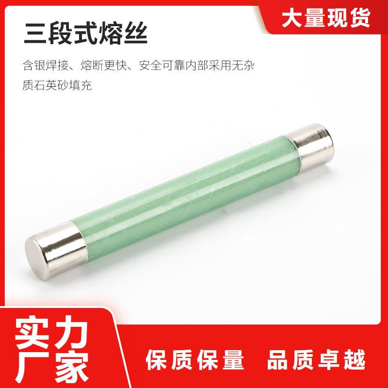 限流熔断器RN3-6/40樊高电气