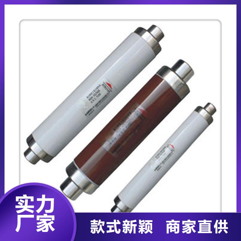 BR1-10/10A双管限流熔断器