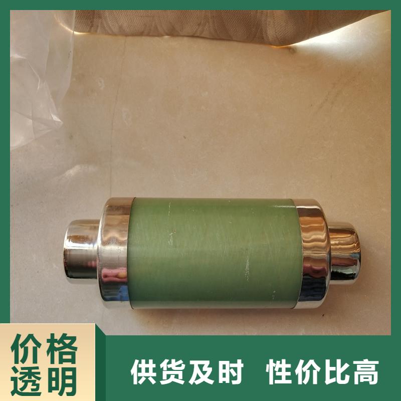 XRNP-24KV/3.15A熔断器樊高