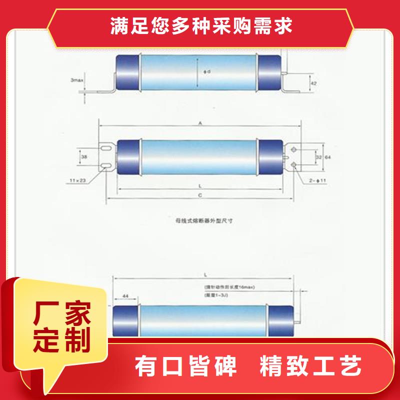 ARXWO-35/1A熔管