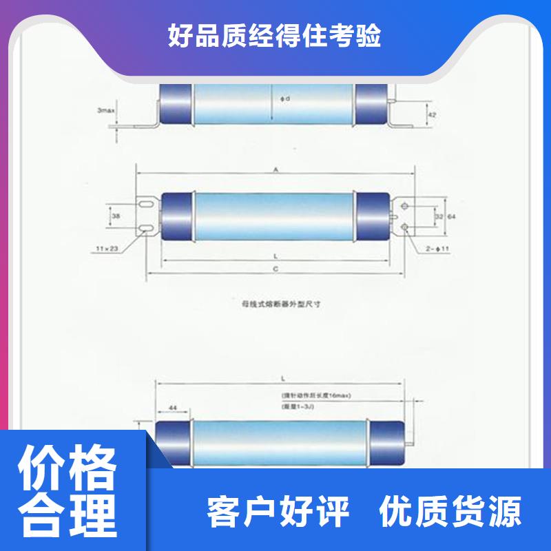 XRNT1-10/63A熔断器