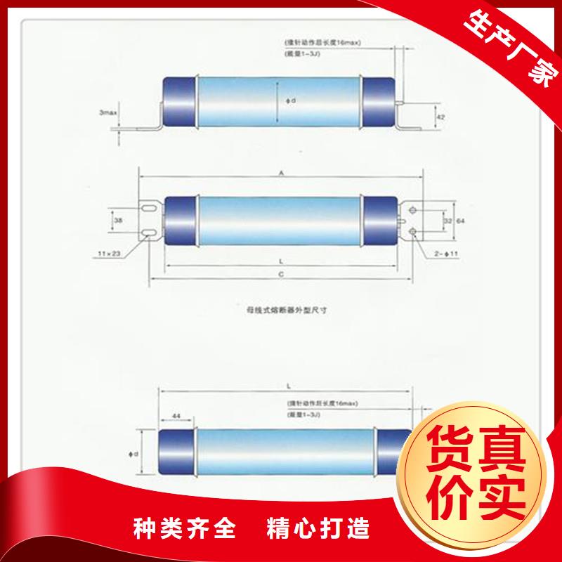 BR1-10/80A双管限流熔断器