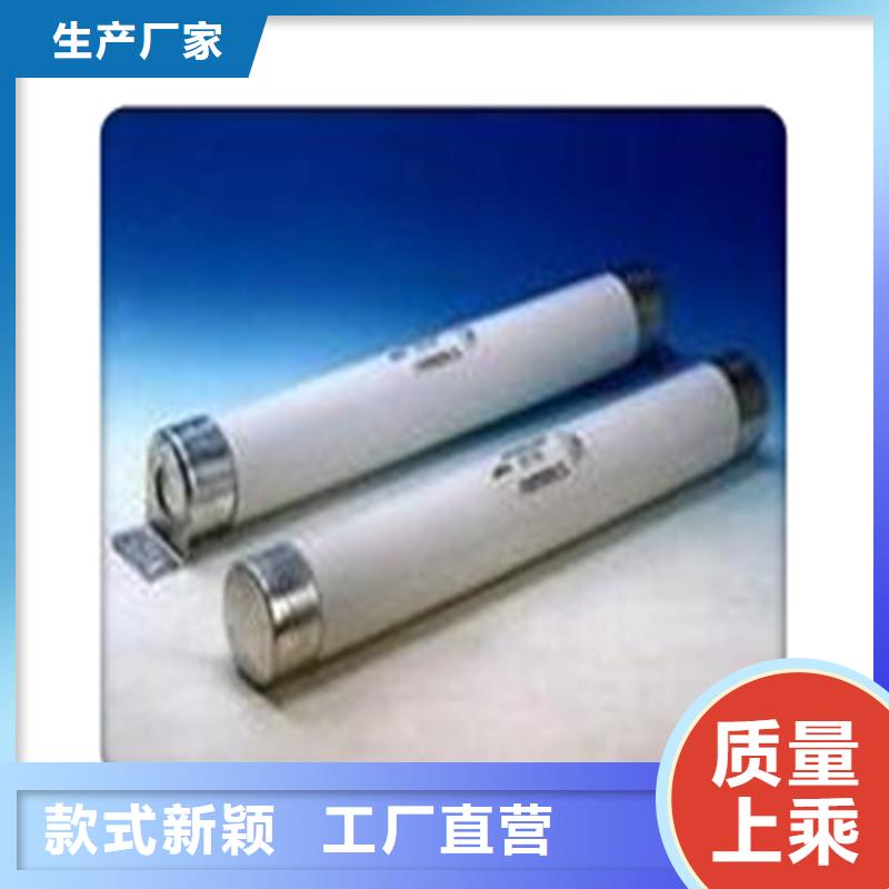 XRNP1-7.2/0.2A限流熔断器厂家