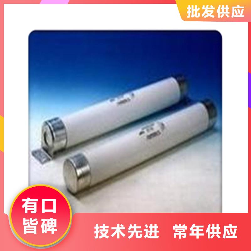 XRNM-10/40A高压熔断器