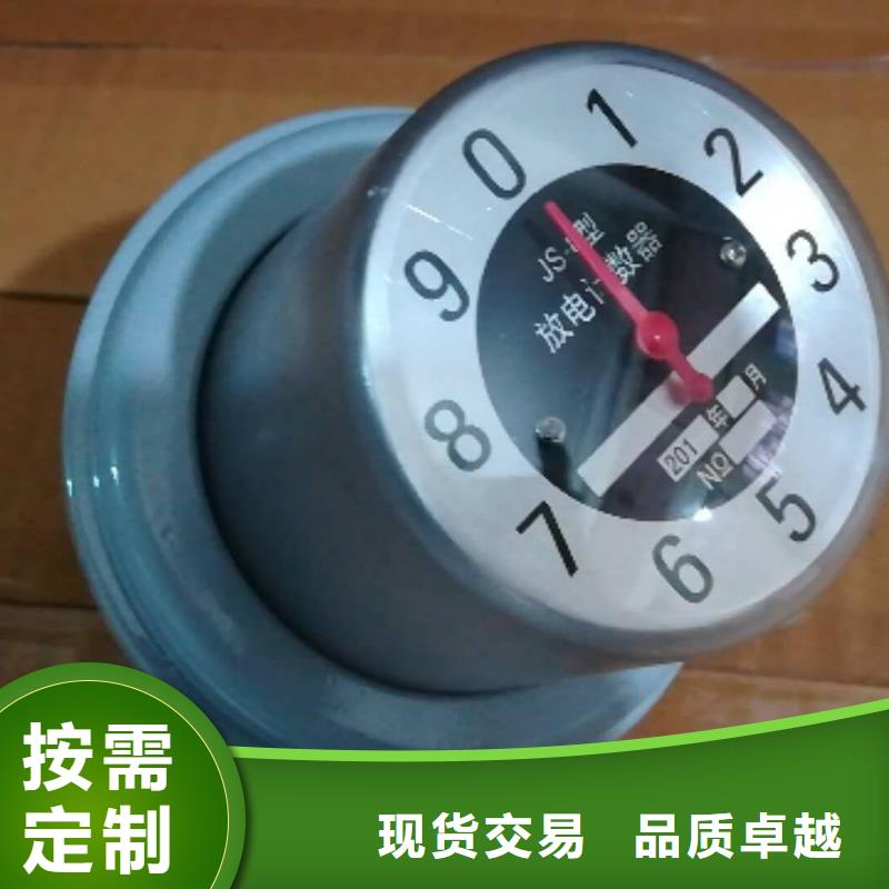 JSY-10/800放电计数器