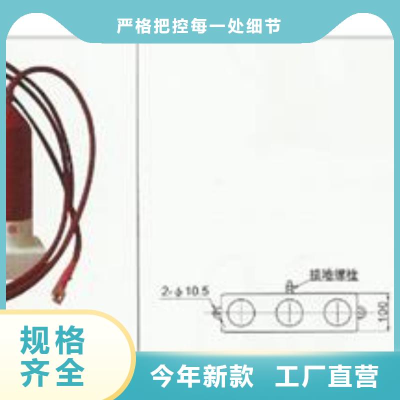 JS-10放电计数器