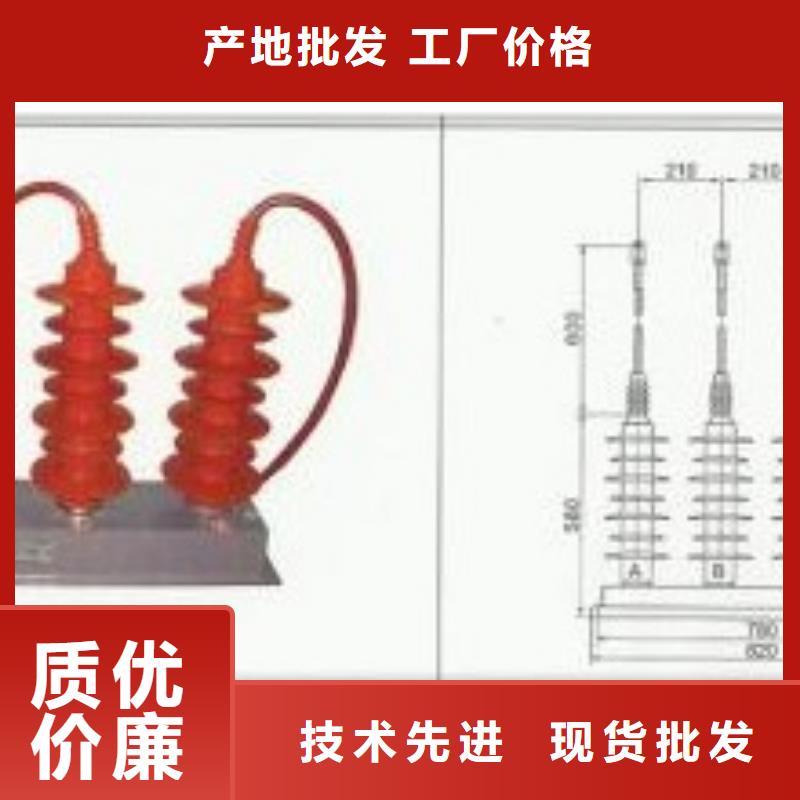 JSY-10/800避雷器计数器