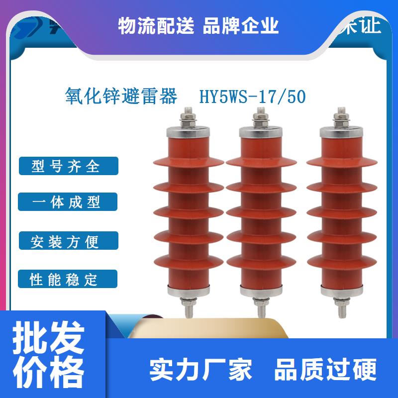 JL-110/800在线监测仪