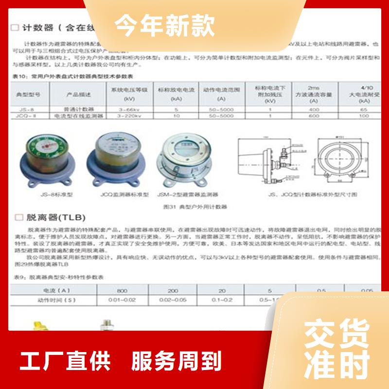 JSY-10/800放电计数器