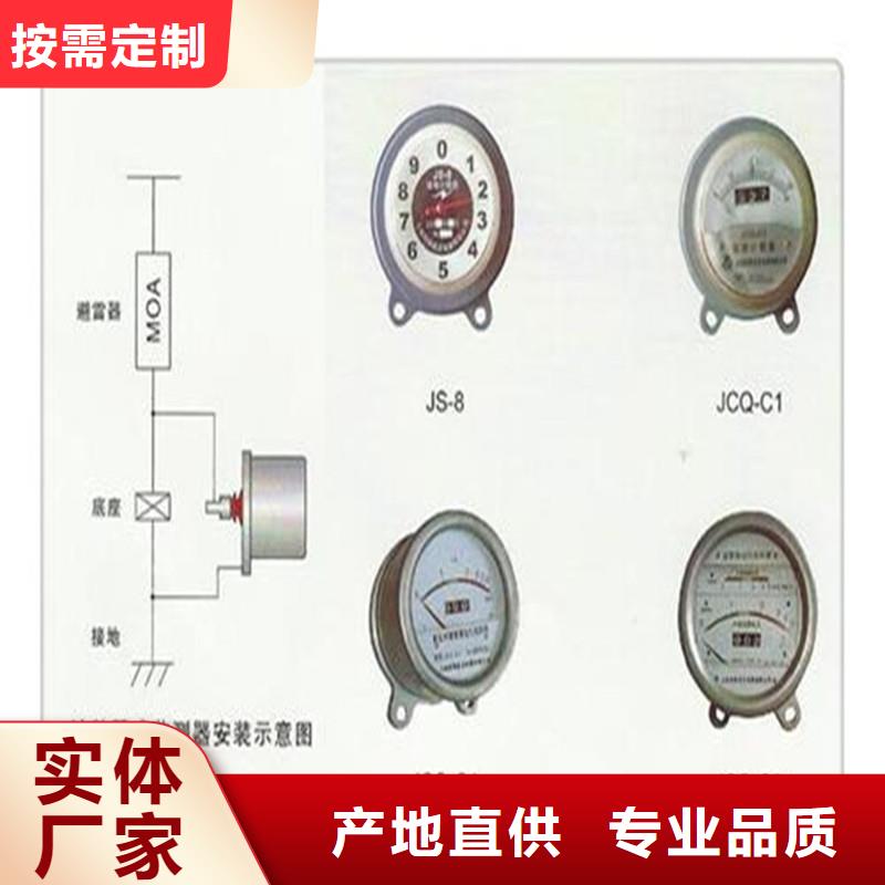 JSY-10/800放电计数器