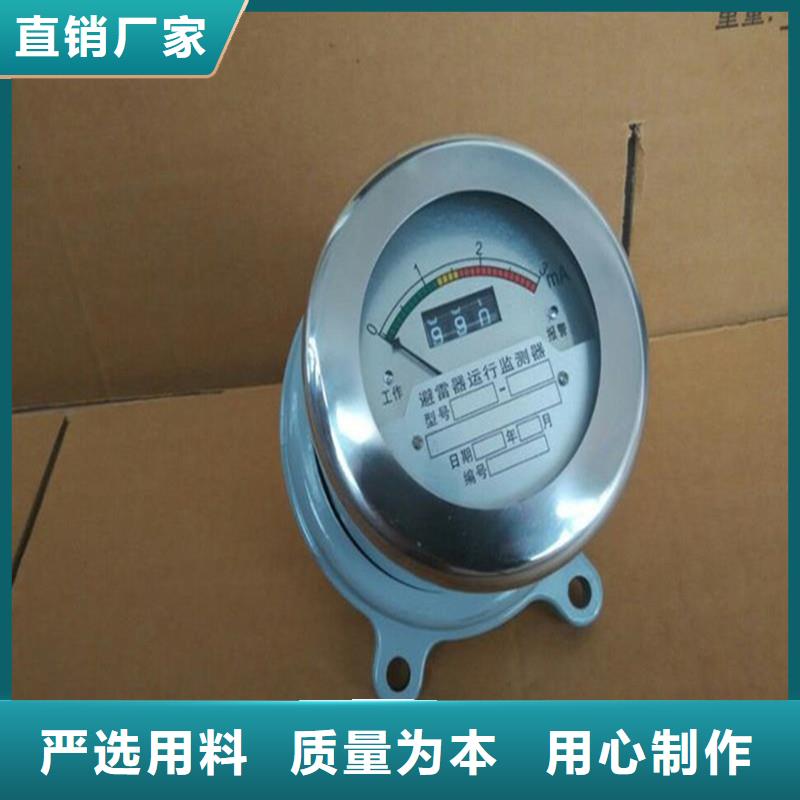 JL-110/800在线监测仪