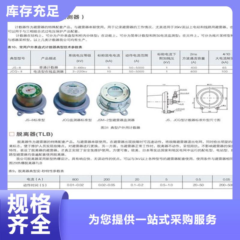 JCQ-4放电计数器图片