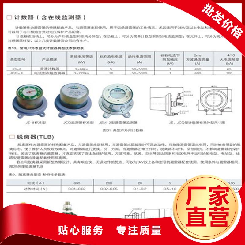 JSY-8L放电计数器特征