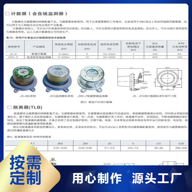 JSM-2/800在线监测器说明书