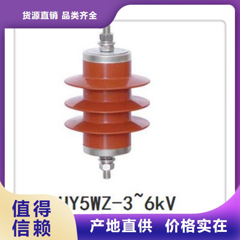 YH2.5WD-13.5/31高压避雷器