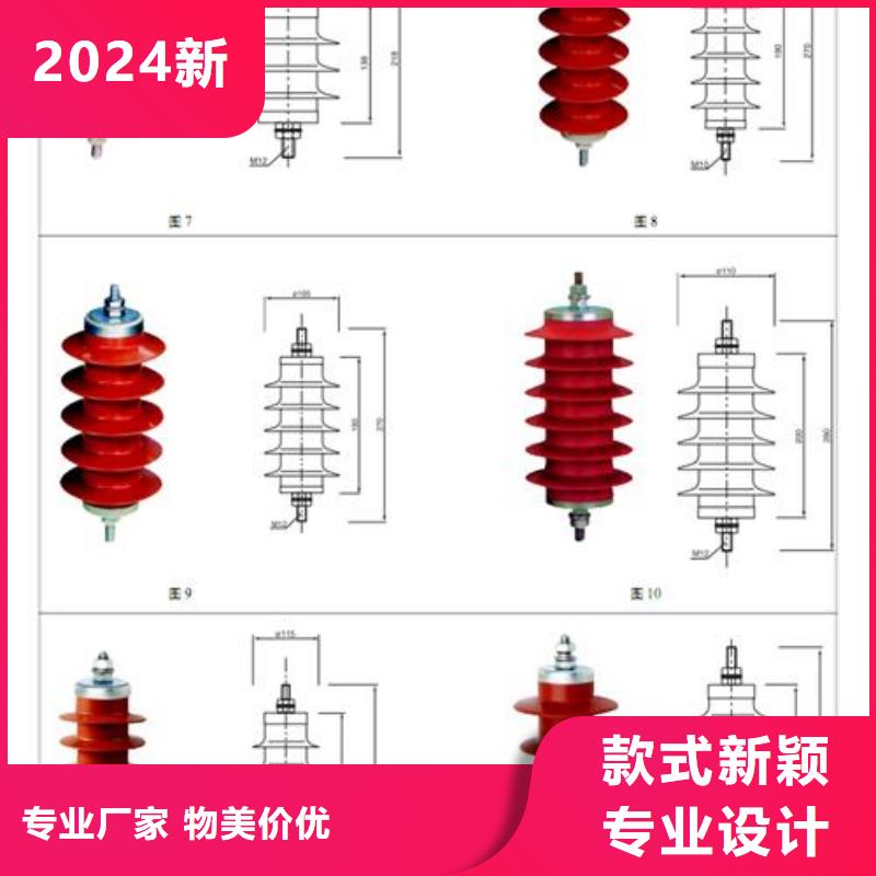 Y5WS1-7.6/30高压避雷器