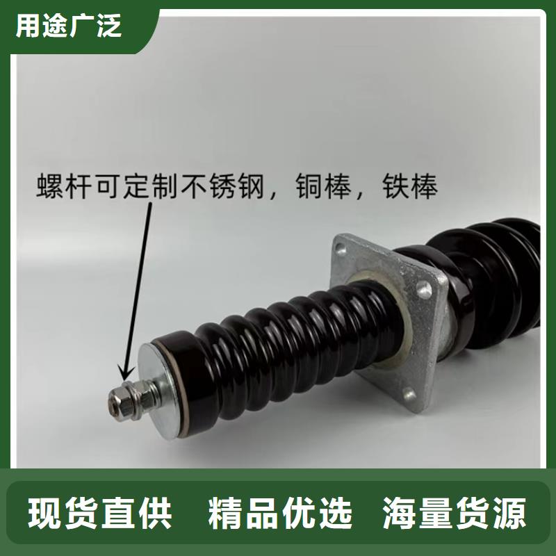 CWC-40.5/400A陶瓷高压托管