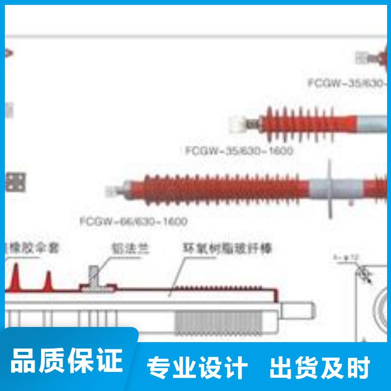 FCRG3-40.5/1000A高压复合穿墙套管