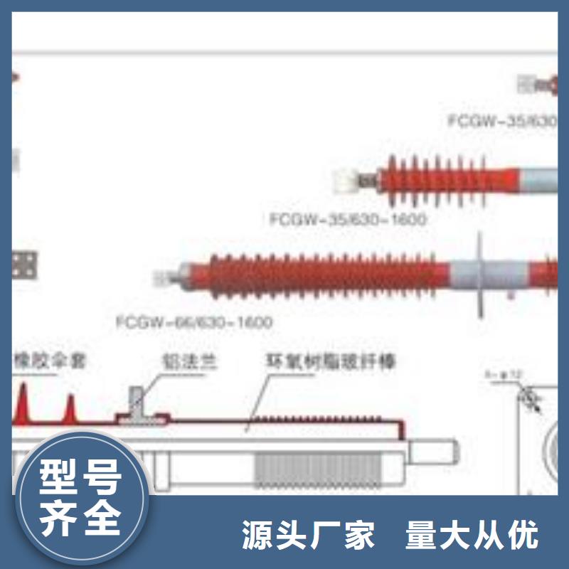 CWC-35/1000A高压穿墙套管