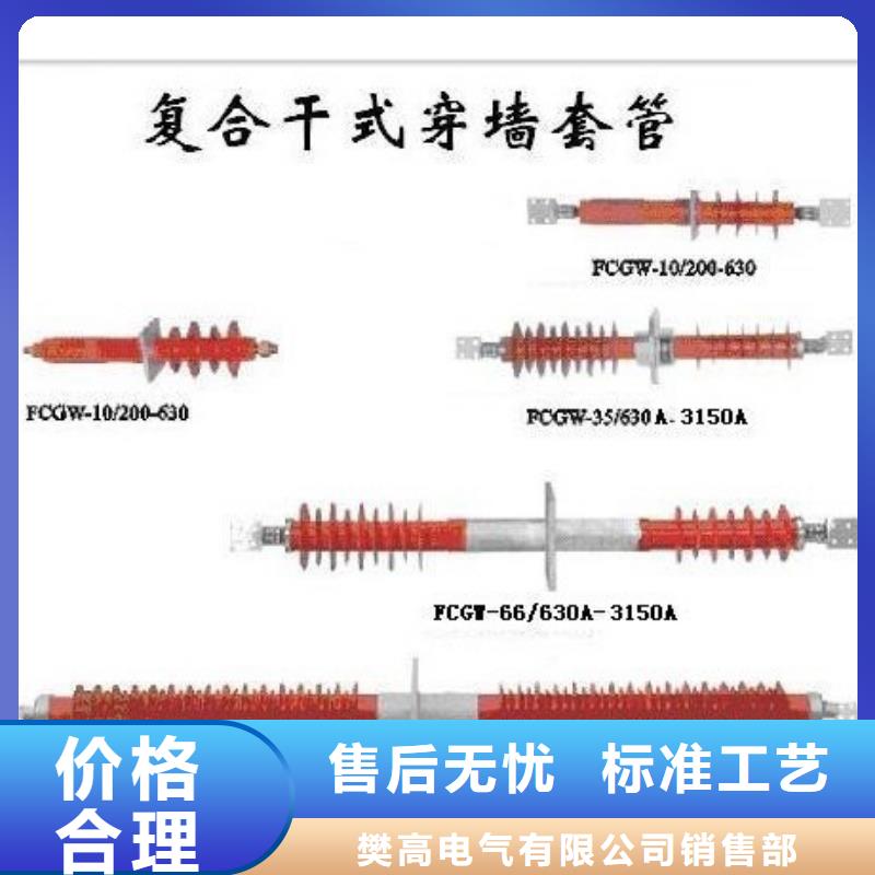 CWWC-10/1250高压套管说明