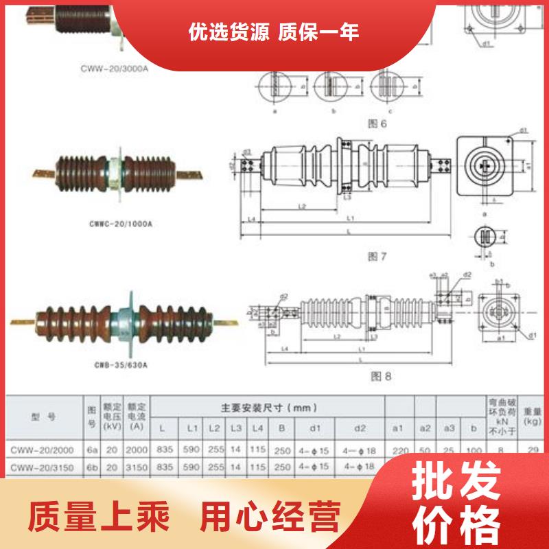 CWW-20/630A陶瓷穿墙套管