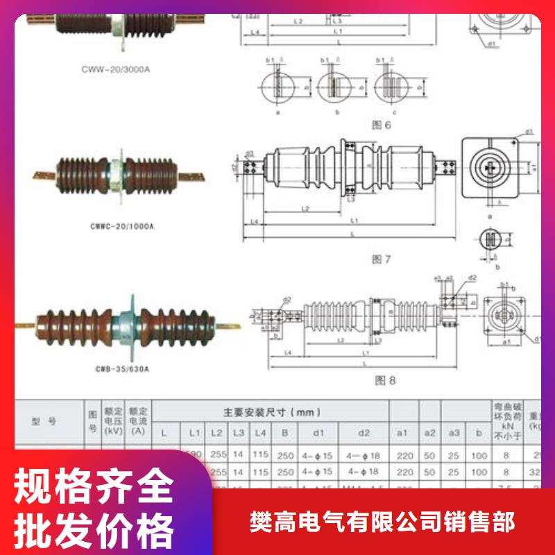 CWL-40.5/4000A高压穿墙套管樊高